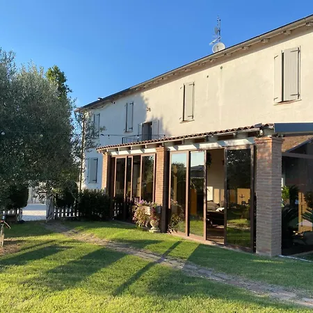 il leccio-3